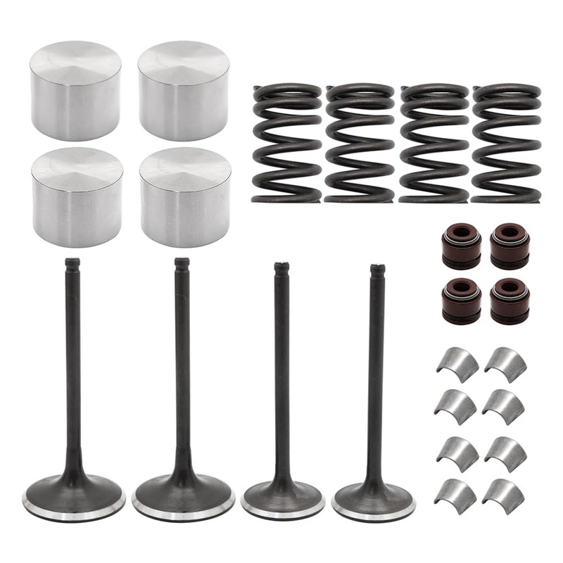 Mabutingti Inlet Outlet Engine Valve Kit for Suzuki Quadsport 400
