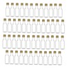 Nakpunar 45 pcs 50 ml Plastic Liquor Bottles with Gold
