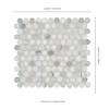 MSI Cloudland Round Pattern Polished Marble Mosaic Floor and Wall