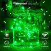 Ariceleo 1 Pack 16.4ft Battery Operated String Lights with Timer,