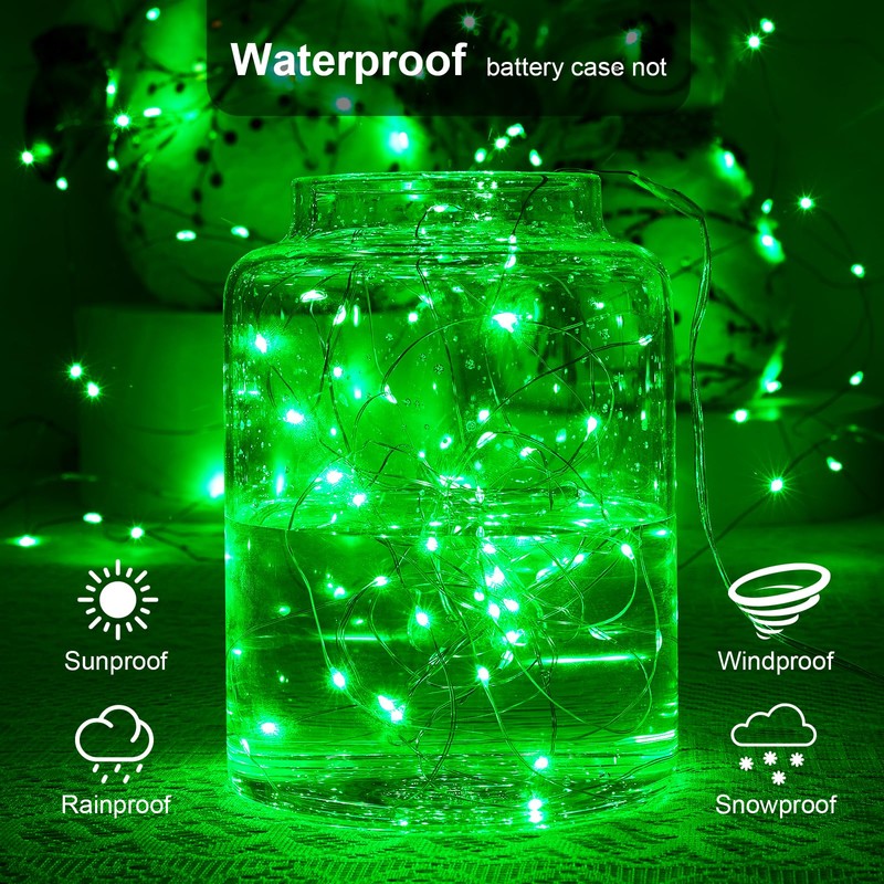 Ariceleo 1 Pack 16.4ft Battery Operated String Lights with Timer,