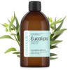 Natural Eucalyptus Essential Oil - 100% Pure - The Healing