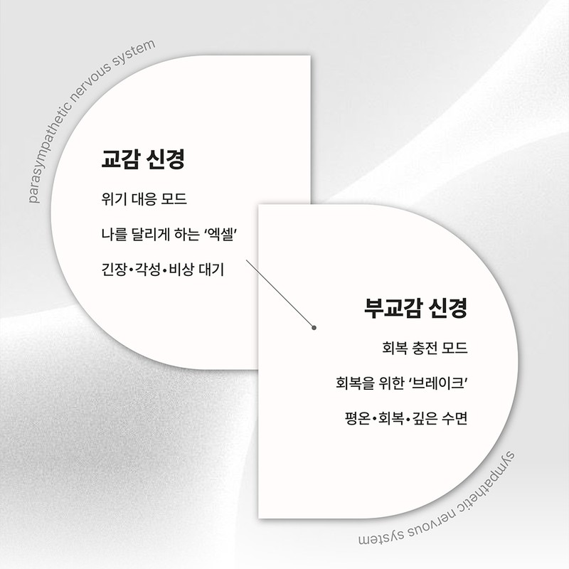 Partner company Medipair Bio24 SOMA Mineral Release Salt 300g /