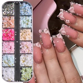 12 Grids Flowers Nail Charms 3D Resin Colorful Petals Charms for Acrylic Nails Gold White Pearls Flatback Rhinestones Nail Art Charms Spring Summer Supplies for Women Nail Decorations Crafts