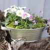 Storm's Gartenzaubereien Zinc Tub 3 L Round Waterproof Plant Bowl