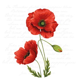 Napkin "Luminous Poppy" Pack of 20