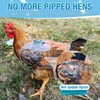 Chicken Saddle with Wing Protector - Chicken Aprons & Vest