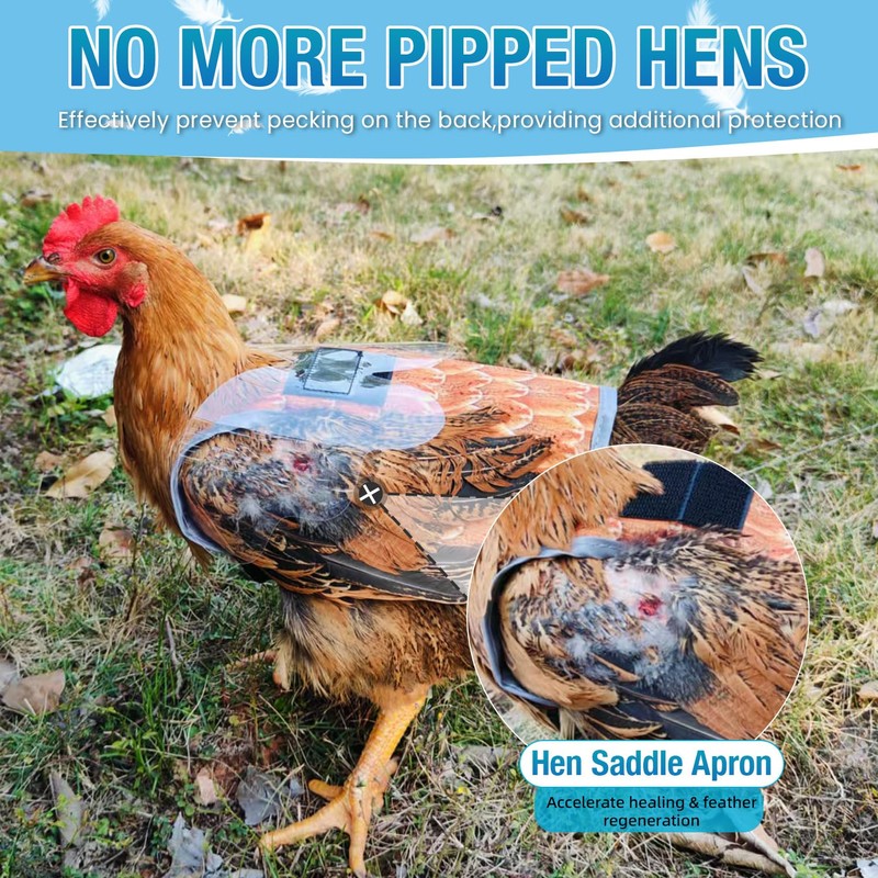 Chicken Saddle with Wing Protector - Chicken Aprons & Vest