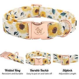 Elegant little tail Dog Collar, Sunflower Pattern Pet Collar Durable Cute Dog Collars Summer Fall Female Pet Gift Adjustable Dog Collar for X-Small Dogs