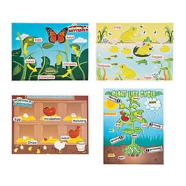 Life Cycle Sticker Scene Assortment ~ 3 each of 4 Life Cycles ~ 11" x 8 1/2" ~ New