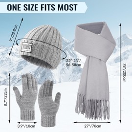 Winter Hat Beanie Long Scarf Touchscreen Gloves Set, 3Pcs Soft Thick Fleece Lined Gloves Skull Cap Scarf Set for Women Men, Grey