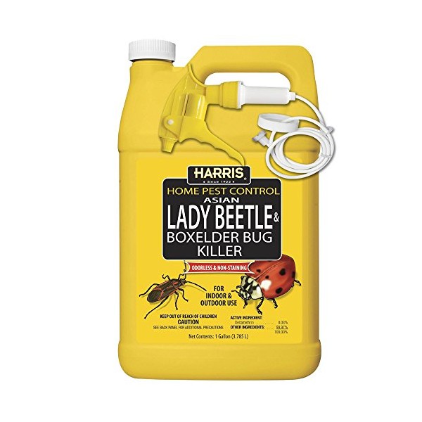 HARRIS Asian Lady Beetle, Japanese Beetle, and Box Elder Killer, Liquid Spray with Odorless and Non-Staining Extended Residual Kill Formula (Gallon)