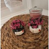 Mini Artificial House Plant, Photocatalyst, Deodorizer, Fake Green, Interior, Japanese