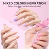 Nailshion 16 Colors Nail Polish Set Spring Summer Regular Jelly