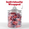 SWEDISH FISH Individually Wrapped Soft & Chewy Candy, Bulk Candy,