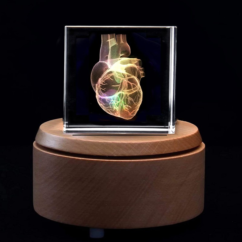 3D Human Heart Anatomical Model Paperweight(Laser Etched) in Crystal Glass
