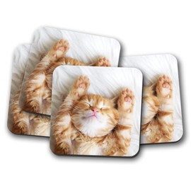 4 Set - Cute Kitten Coaster - Ginger Cat Pet Funny Mum Sister Auntie #13113