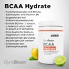 GymBeam GymBeam BCAA Pulver - Aminos?uren Pulver mit BCAA Hydrate,