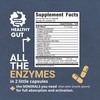 Healthy Gut HoloZyme Max Strength Digestive Enzymes | Inulinase, Amyloglucosidase