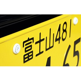 Pintorux Sara Stainless Steel (White) License Plate Bolts, 4 Piece & Tool Set M6 x 20