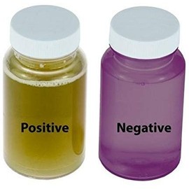 Easy Coliform Bacteria Water Test (2 tests)