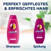 Schauma Schwarzkopf Fresh It Up! Conditioner, 3 x 250 ml,