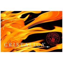 CRISTALICA Long Drink Glass Campariglass Cocktail Glass Universal Everyday Glass 320 ml