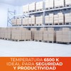 Tecnolite - Foco Fluorescente 15 W, Luz de Día, Base