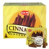 Cinnamon Incense Cones and Cone Incense Burner Bundle Insence Insense