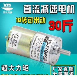12V 600 DC Motor Micro Speed Reducing Motor High Torque Gear Motor