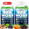 Sea Moss Gummies, 3100mg Irish True Sea Moss Seamoss Gummies