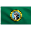 DMSE Washington State Flag 2x3 Ft Foot 100% Polyester 100D