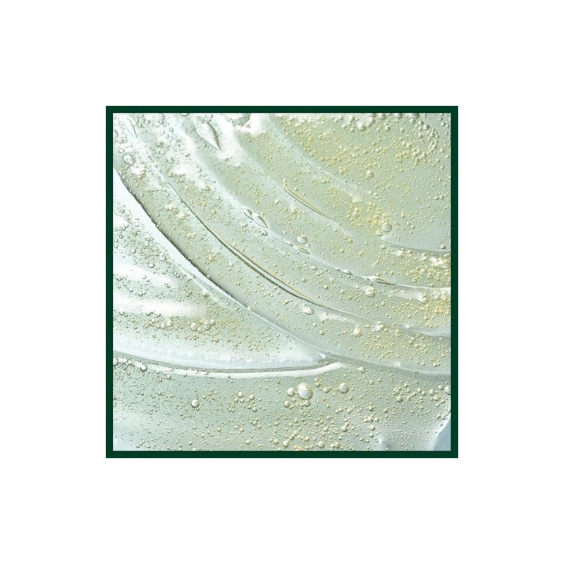 Aveda Scalp Solutions Tratamiento Capilar | Exfoliante Limpiador