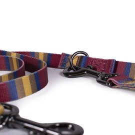 Pendleton Zion National Park Adventure Leash 1" w