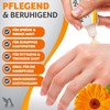 Marigold Ointment | High Percentage Calendula Extract | Nourishes &