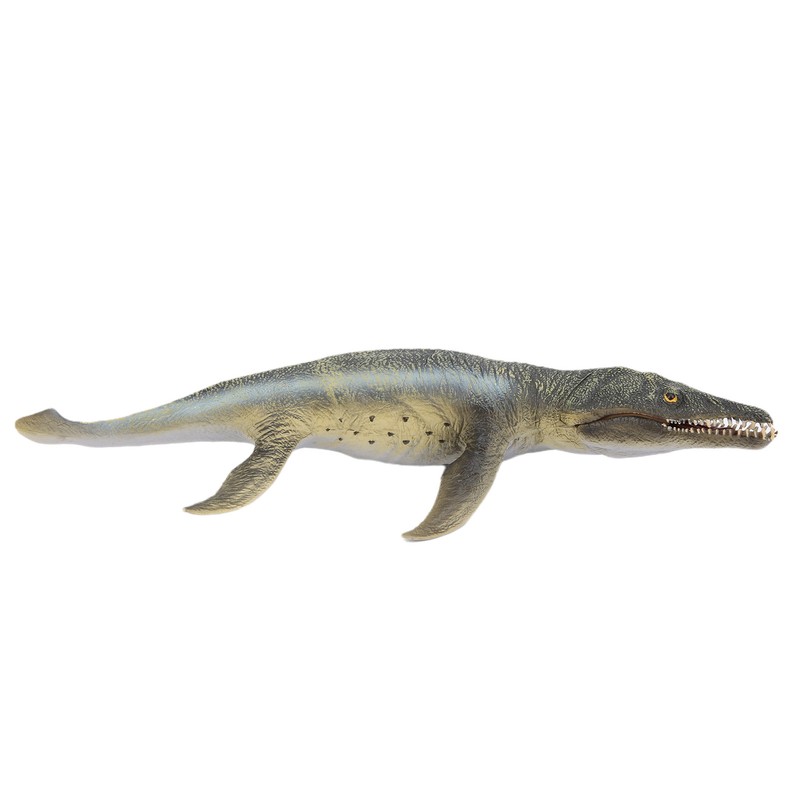Simulation Yellow Kronosaurus Dinosaur Model Educational Dinosaur Model Toy for