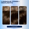 Clairol Nice'n Easy Permanent Hair Dye, 3 Brown Black Hair