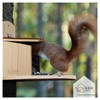 WILDLIFE HOME Squirrel Feeder Stable Made of Solid Wood with