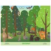Ortopad® Reward Poster Pack, Forest/Panda/Birthday
