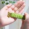 Organic Maru 저온건조 유기농 양배추환스틱 2g x 100개입 Low Temperature
