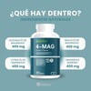 💊⚡ Wellthy 4-Mag 300 Caps | 4 Tipos de Magnesio