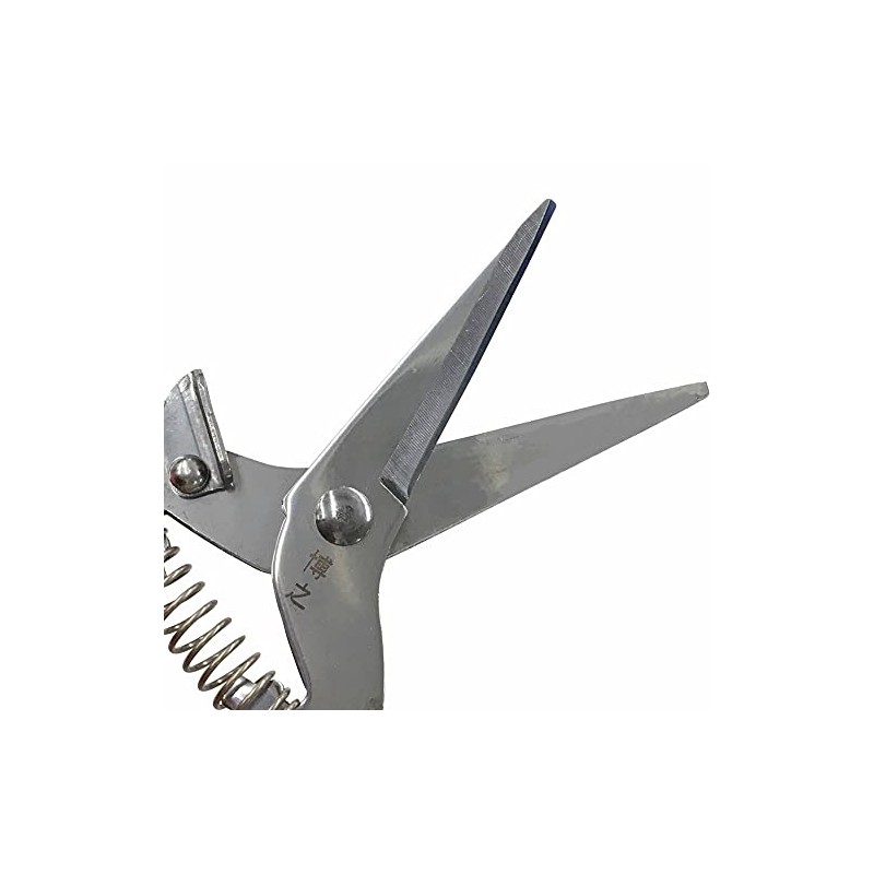 花楯 Industrial 博之 Stainless by Sprout Cutting Scissor