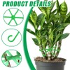 HAMKU Pack of 16 Plant Support Shrub Holder, Plant Stem