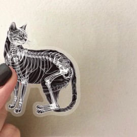 50-Piece Animal X-Ray Skeleton Sticker - Transparent Wildlife Animal Anatomy Stickers for Scrapbooking,Journaling,Educational Decor,Laptops,Water Bottles,Science Enthusiasts