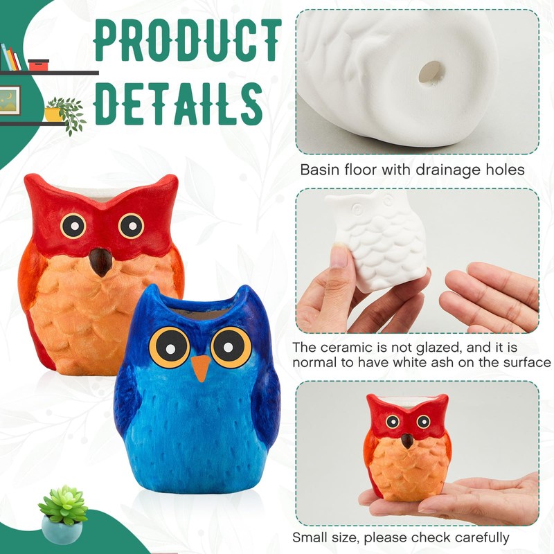 Tanlade 12 Set Paint Your Own Ceramic Planters Mini Owl