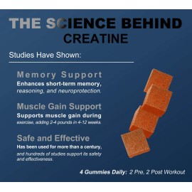 Dlnia- 120 Gomitas De Creatina Monohidrato Para Hombres Y M