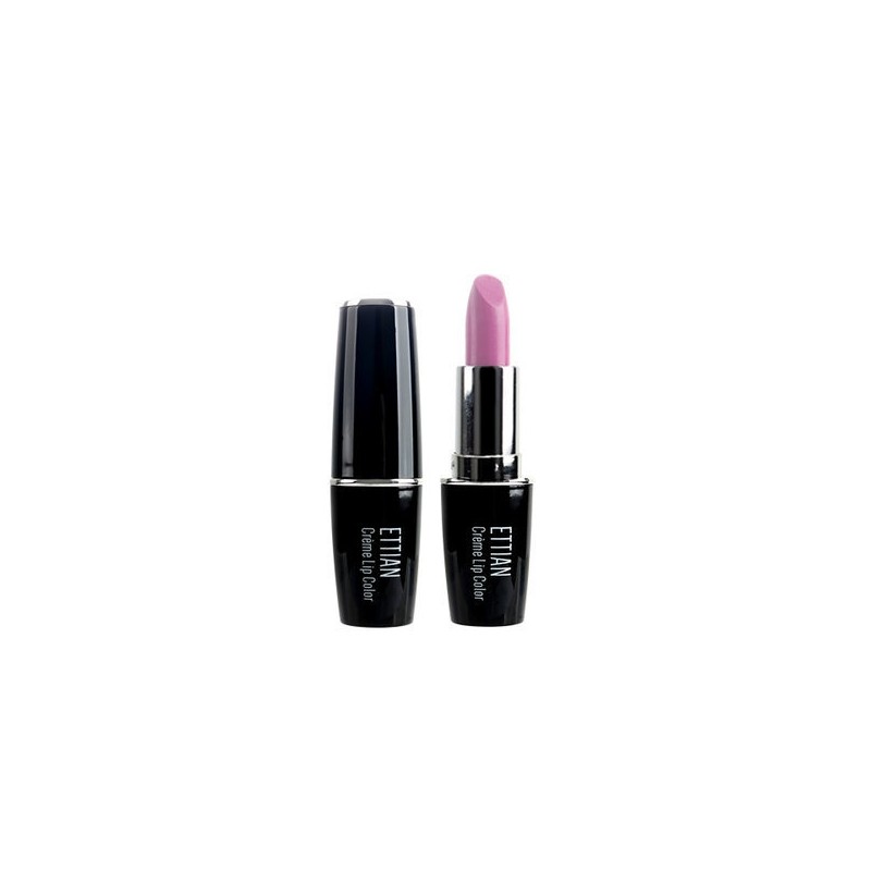 Etienne Creamy Lip Color 102 Violet / 에띠앙 크리미 립