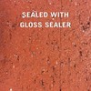 Rain Guard Water Sealers SP-1102 Gloss Sealer Concentrate Makes 1