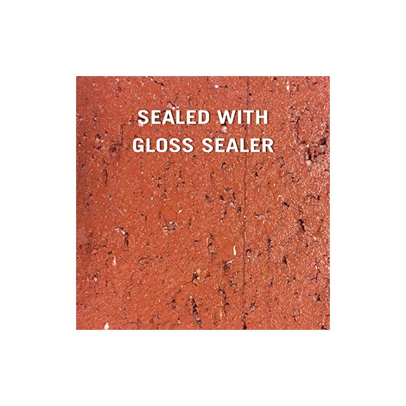 Rain Guard Water Sealers SP-1102 Gloss Sealer Concentrate Makes 1