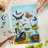 Lantern Press 1000 Piece Jigsaw Puzzle, Butterfly Garden, Painterly